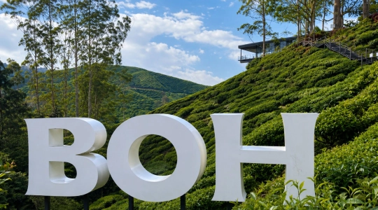 BOHTEA